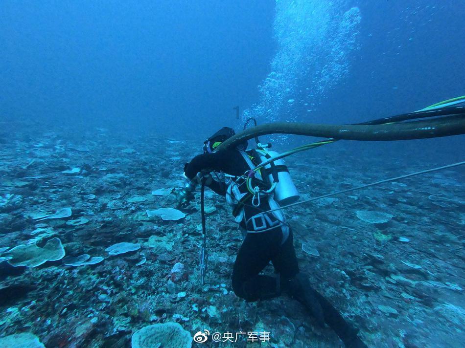 用英文谈一谈你最喜欢北极哪个特色?- 极速问答,即刻获取问题答案