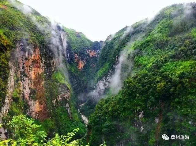 雷竞技比分