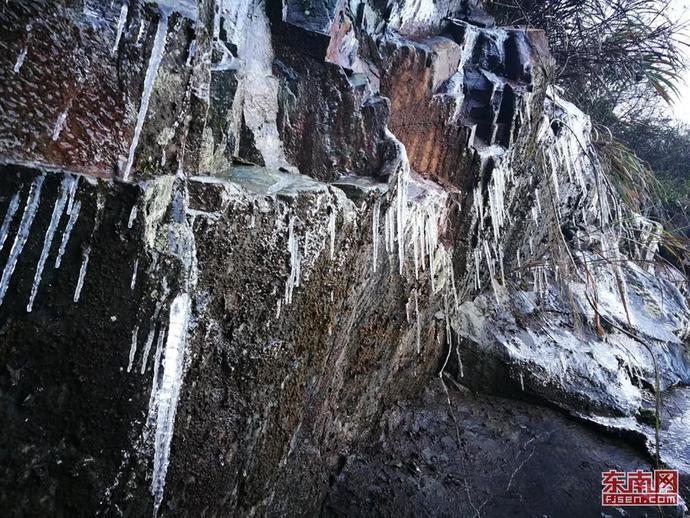 雷竞技比分